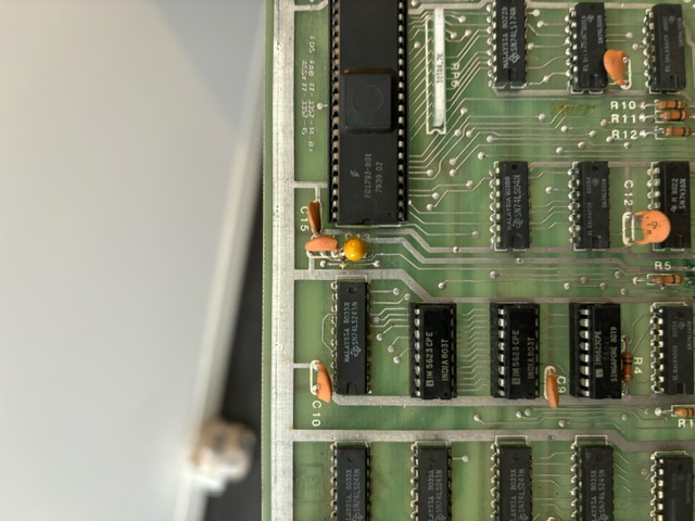 image1.jpeg